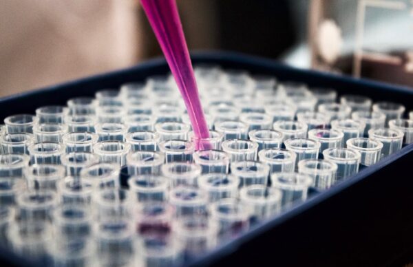 Do I need to know lab values for the AANP or ANCC family nurse practitioner exam?