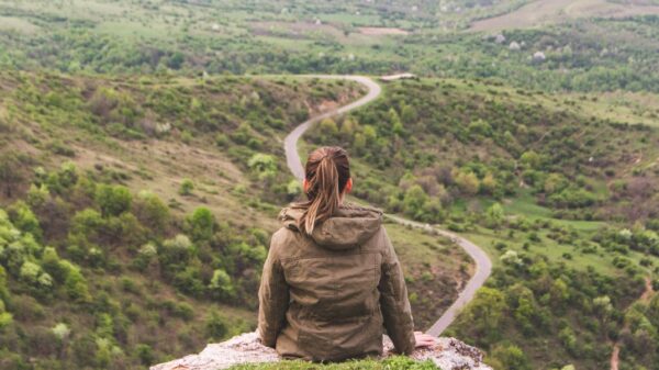 Choosing Between the ANCC and AANP Family Nurse Practitioner Exams: Which Path is Right for You?